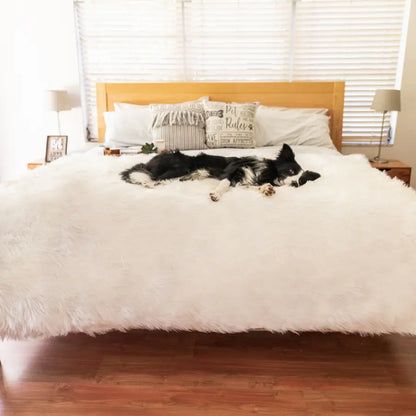 PupProtector™ Waterproof Throw Blanket - Polar White Paw.com