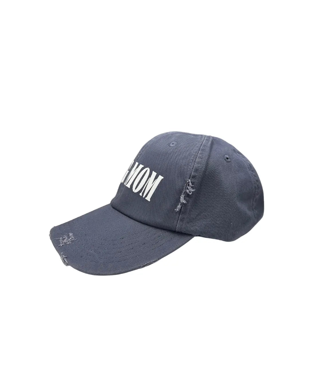 Dog Dad Distressed Cap - Scotland Blue Le Gray Haus