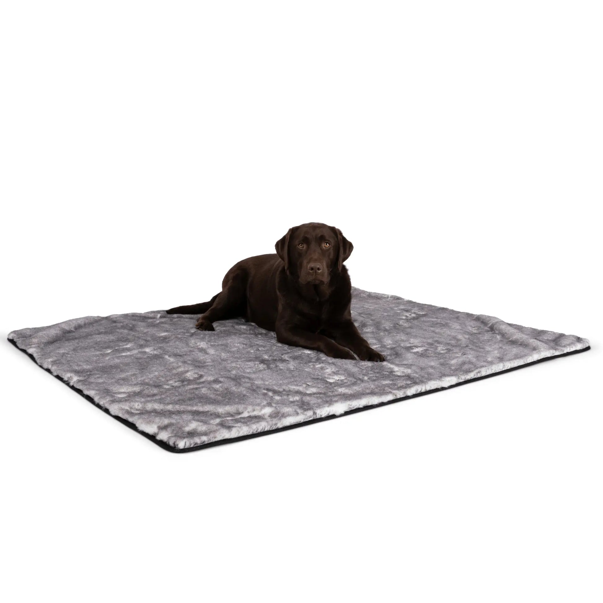 PupProtector™ Luxe Waterproof Faux Fur Blanket - Ultra Soft Chinchilla Paw.com