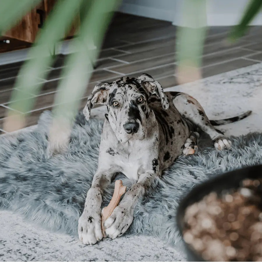 PupRug by Paw.com™ Faux Fur Orthopedic Dog Bed - Curve Charcoal Grey Paw.com
