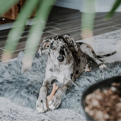 PupRug by Paw.com™ Faux Fur Orthopedic Dog Bed - Curve Charcoal Grey Paw.com