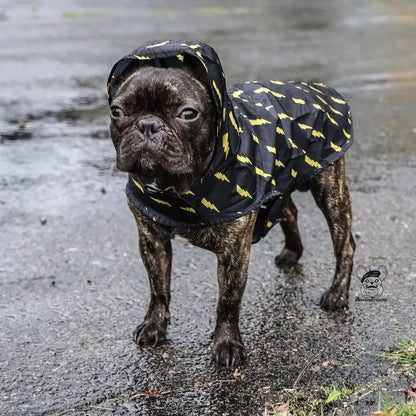 Pawgwarts Poncho Pawmigo