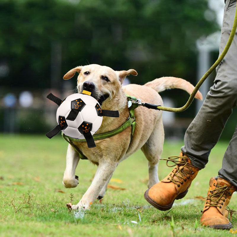 Pet Ball Toy Outdoor Interactive Football Dog Training Ball Multifunctional Rope Biting Dog Ball Dog Toy