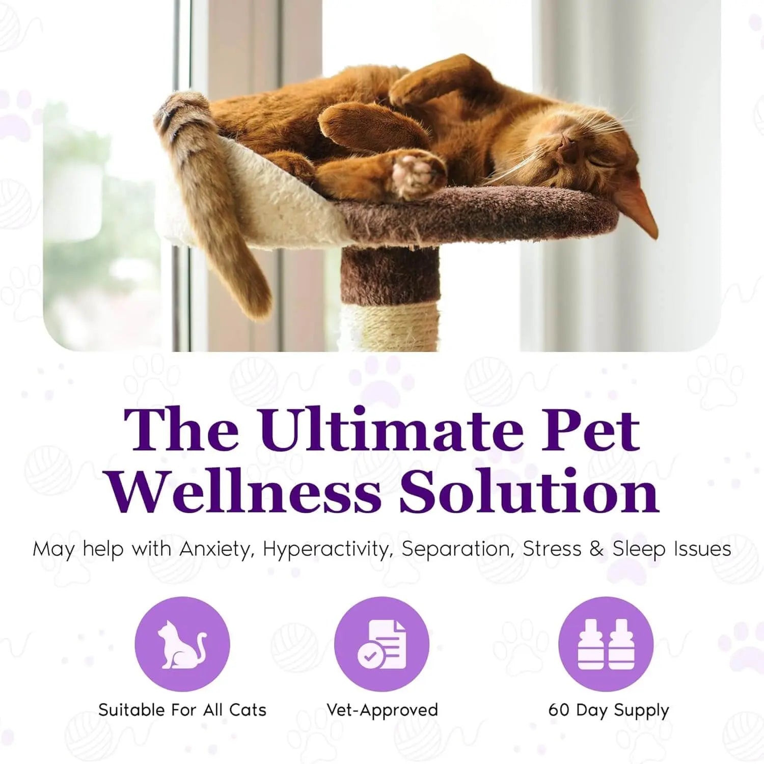 Purrfect Cat Calming Diffuser Kit with 2 Refills