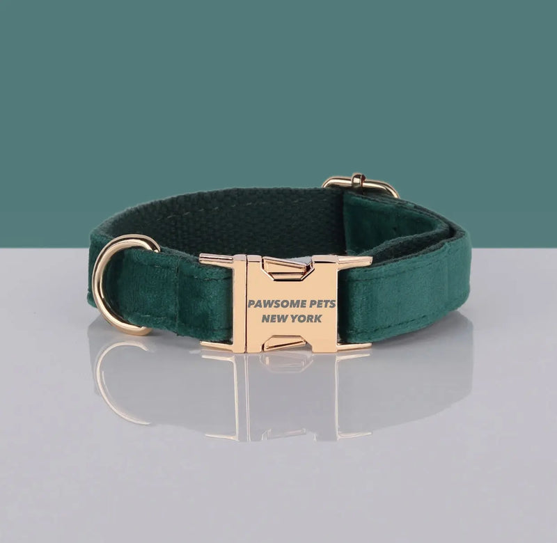 PAWSOME DOG COLLAR - #25