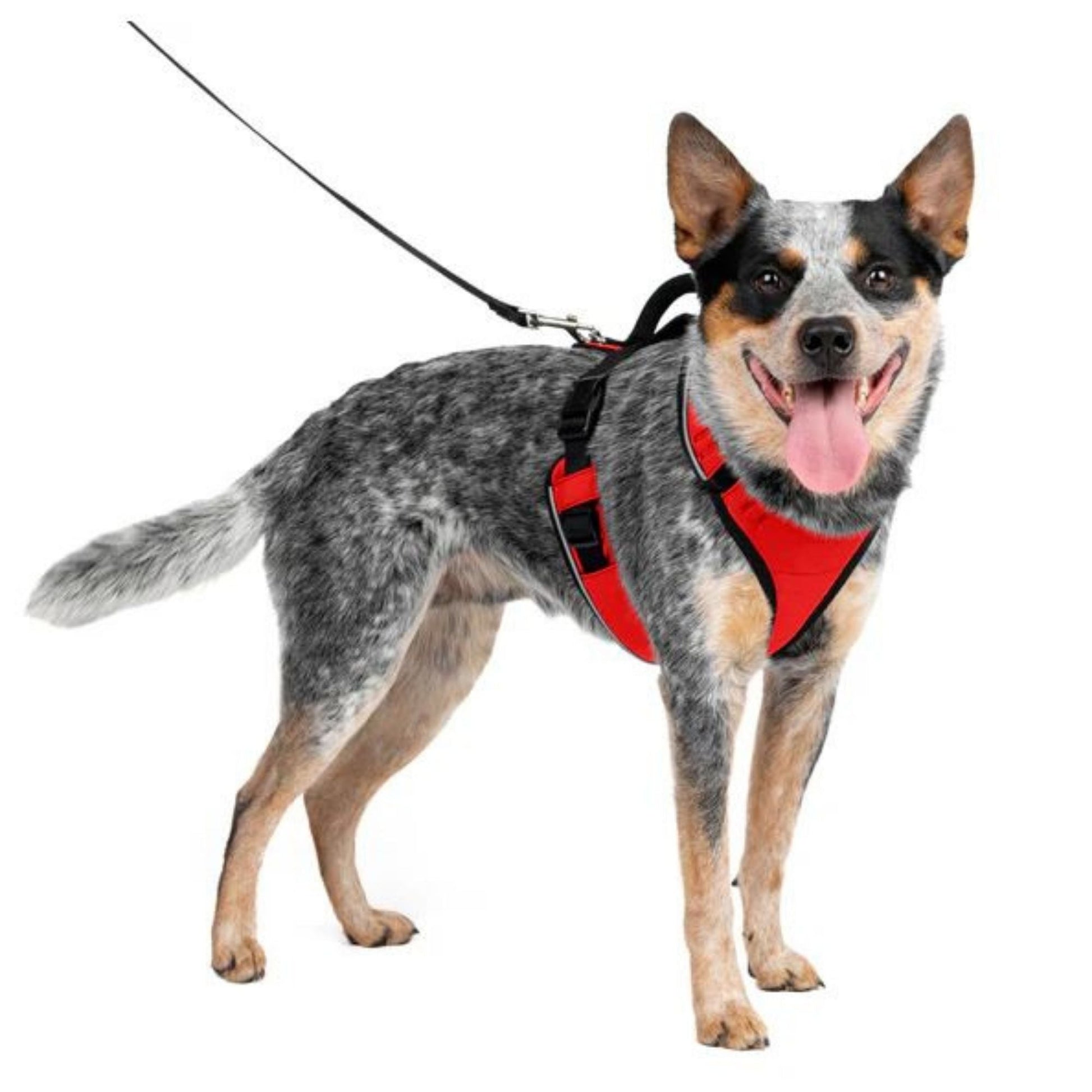 Petsafe Dog Easy Sport Harness Red Medium