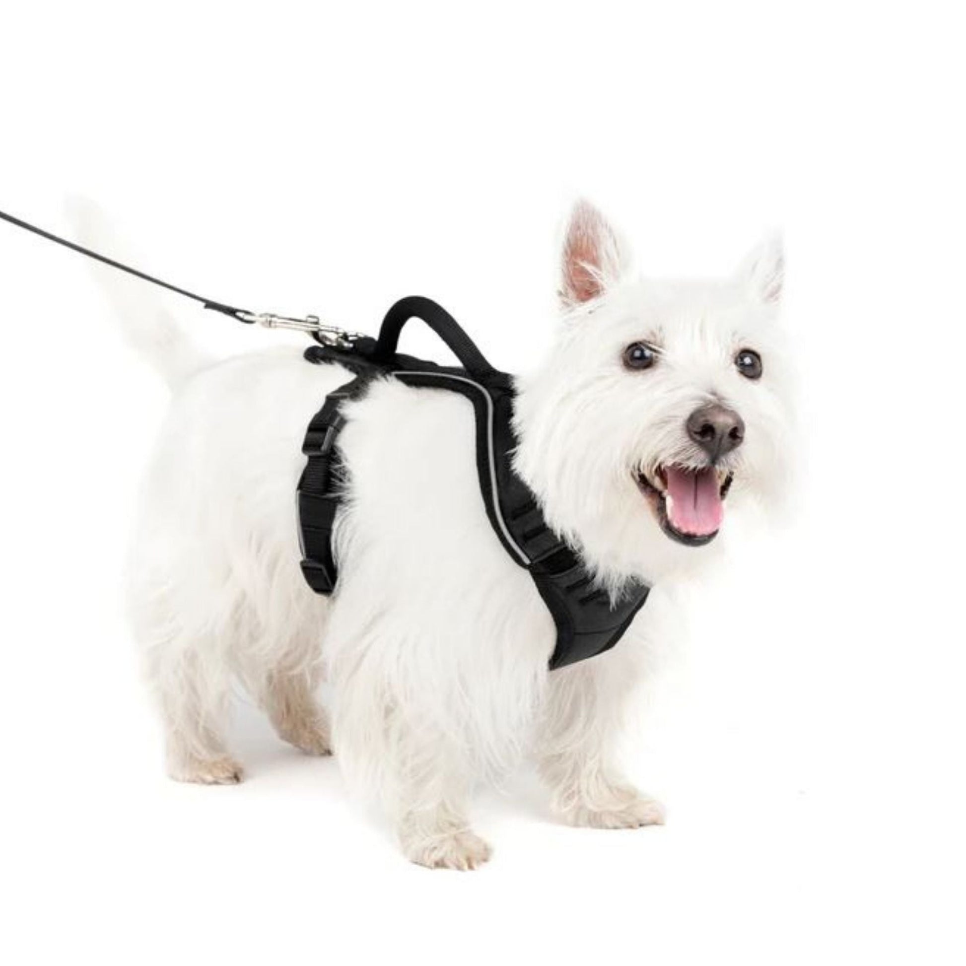 Petsafe Dog Easy Sport Harness Black Small