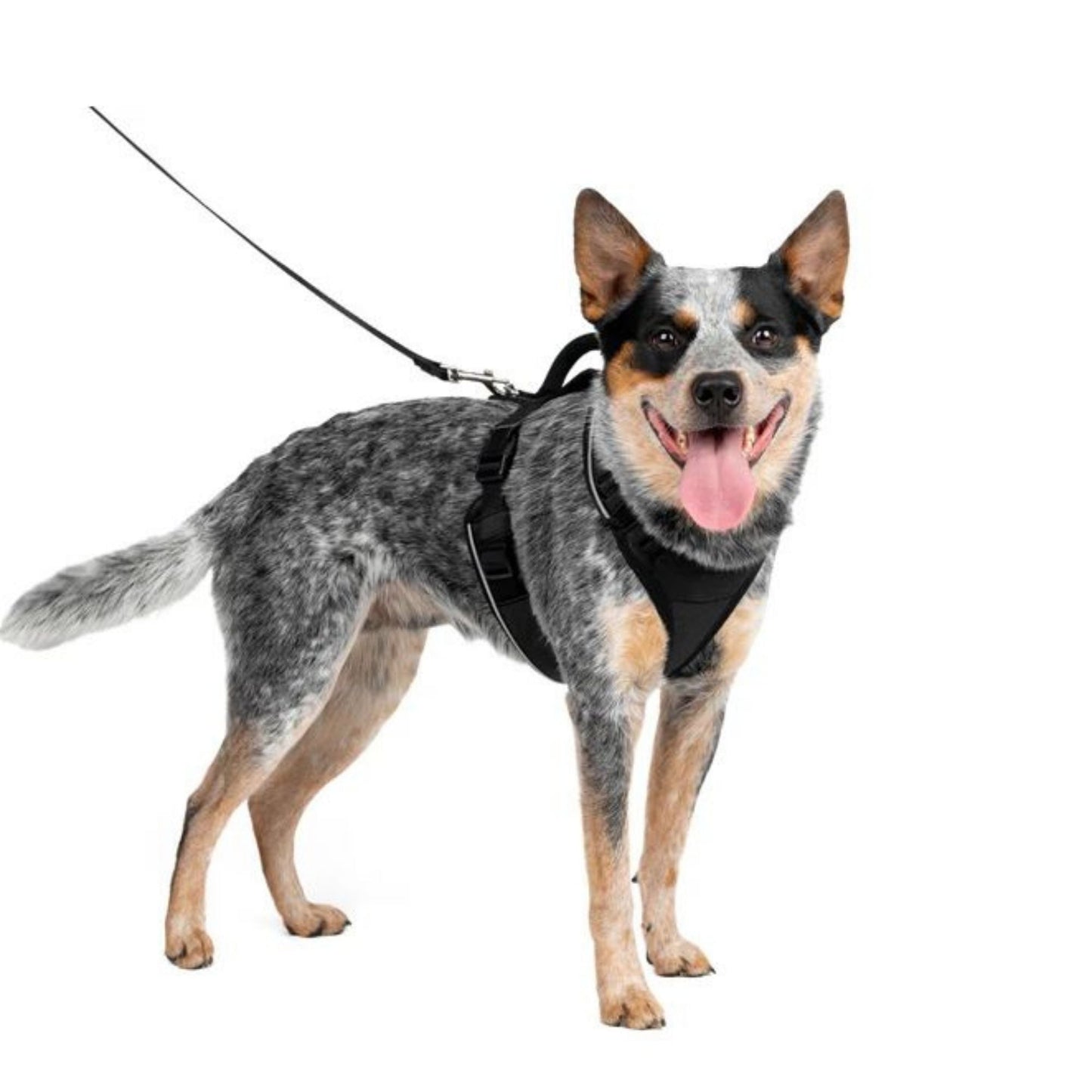 Petsafe Dog Easy Sport Harness Black Medium