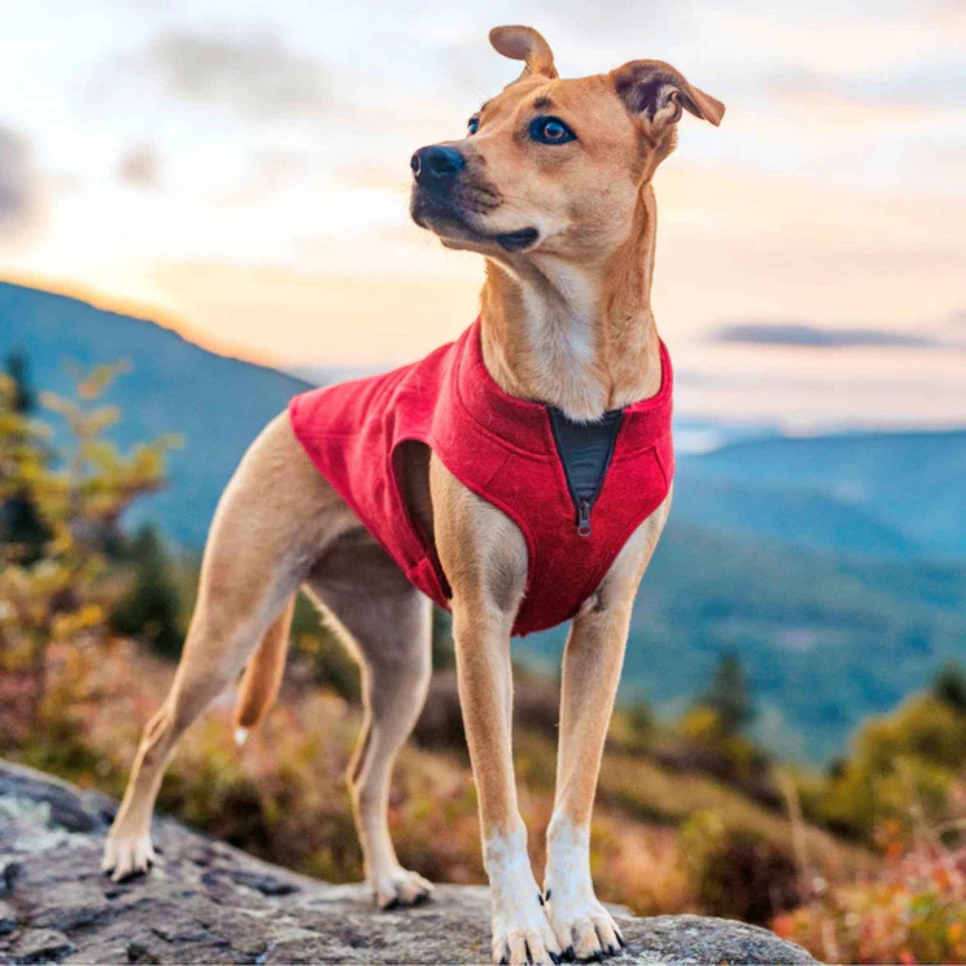 Kurgo Dog Core Sweater Heather Red Medium