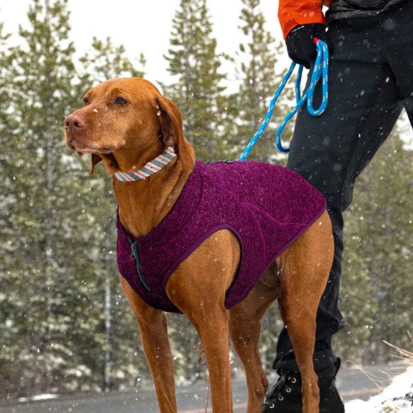 Kurgo Dog Core Sweater Heather Violet Medium