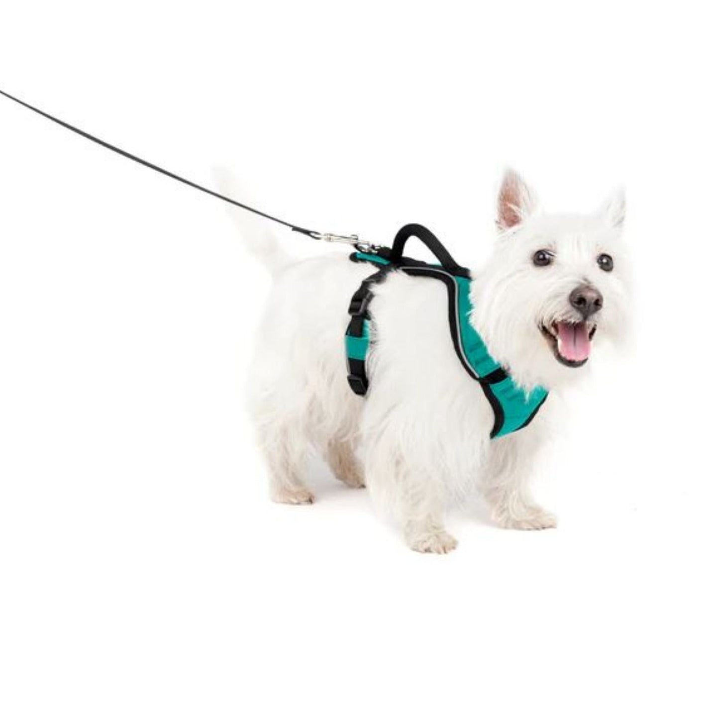 Petsafe Dog Easy Sport Harness Teal Small