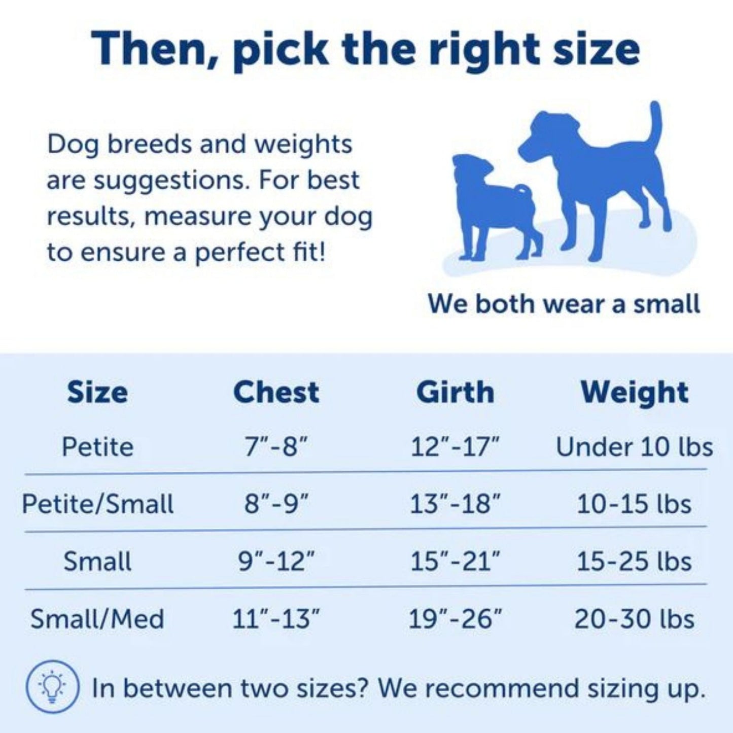 Petsafe Dog Easy Walk Harness Blue Medium