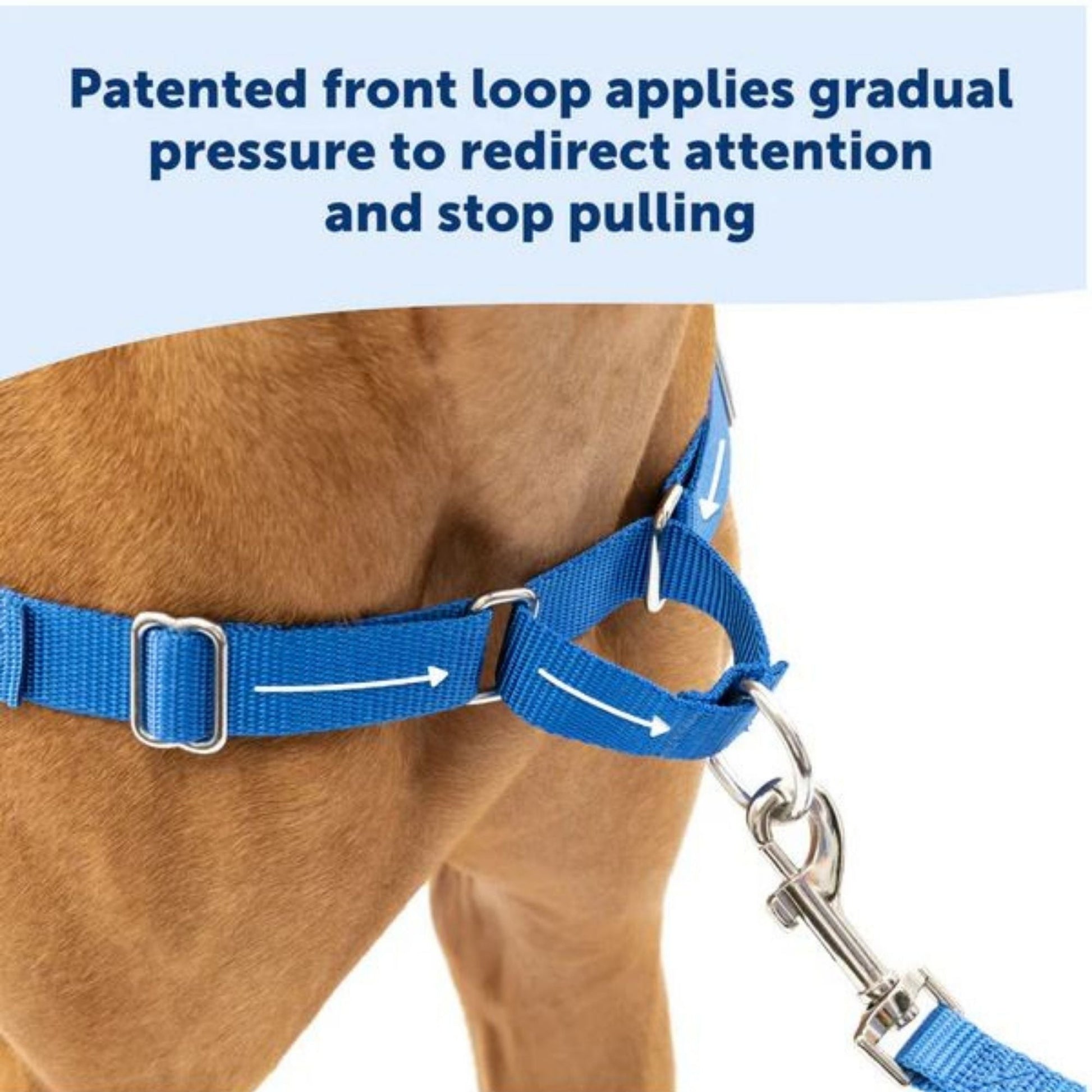 Petsafe Dog Easy Walk Harness Blue Large