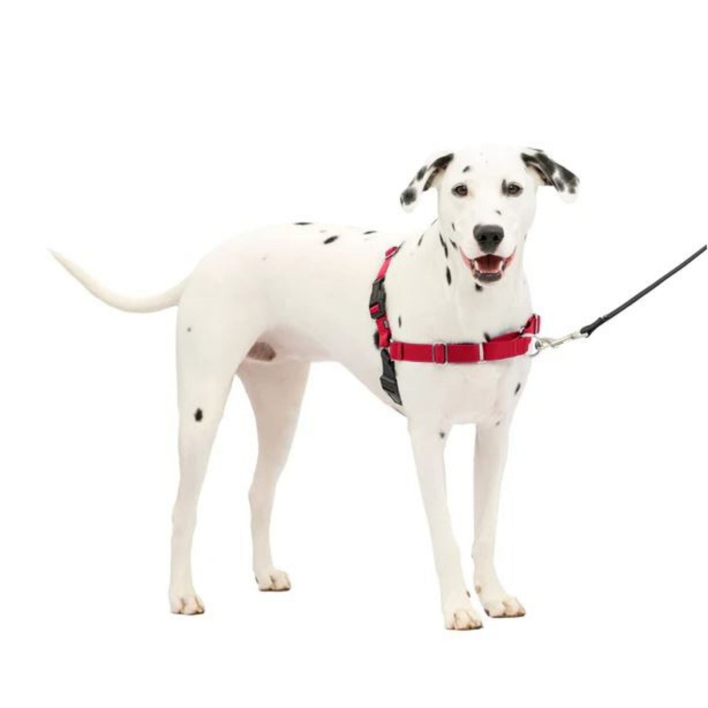 Petsafe Dog Easy Walk Harness Red Medium / Large