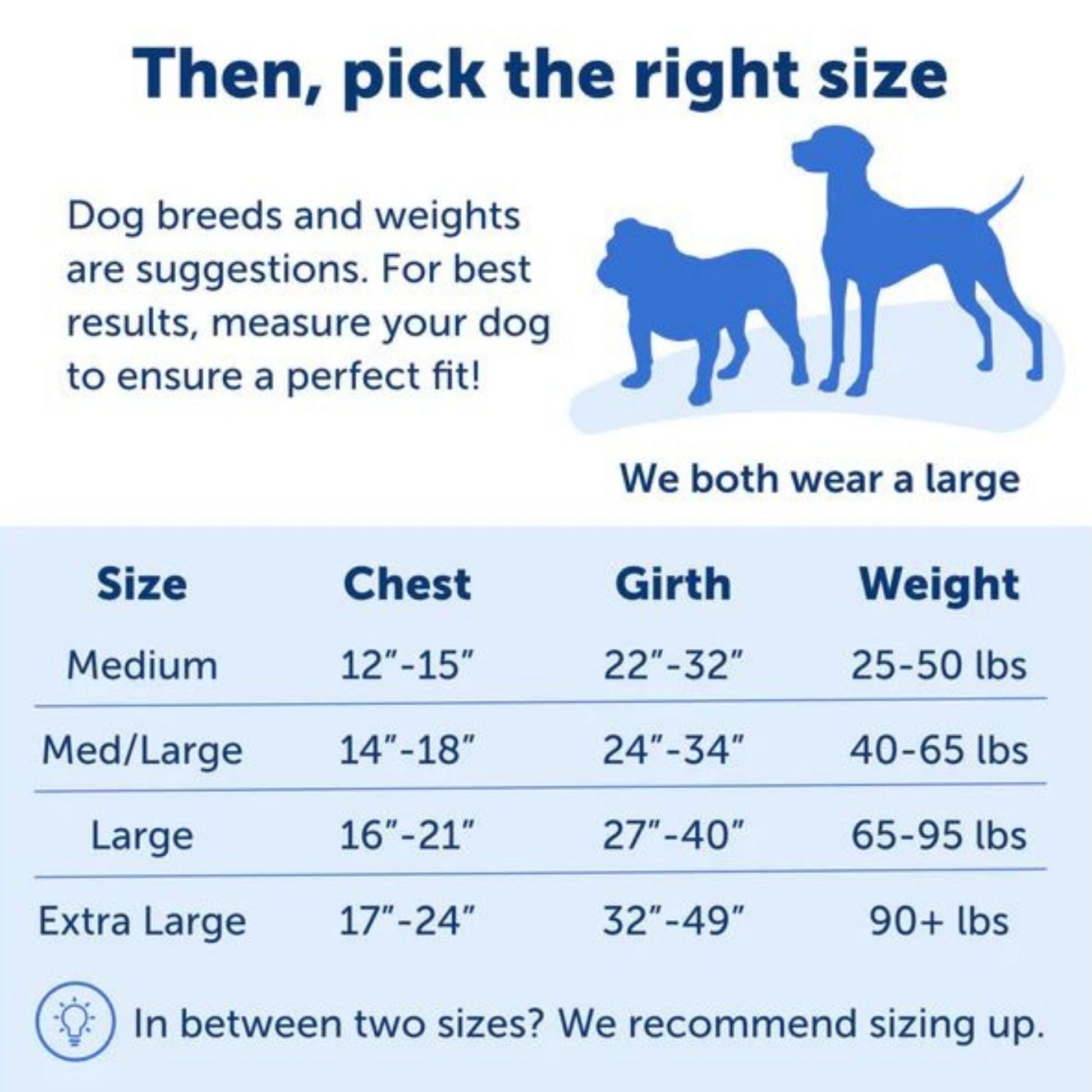 Petsafe Dog Easy Walk Harness Red Medium / Large