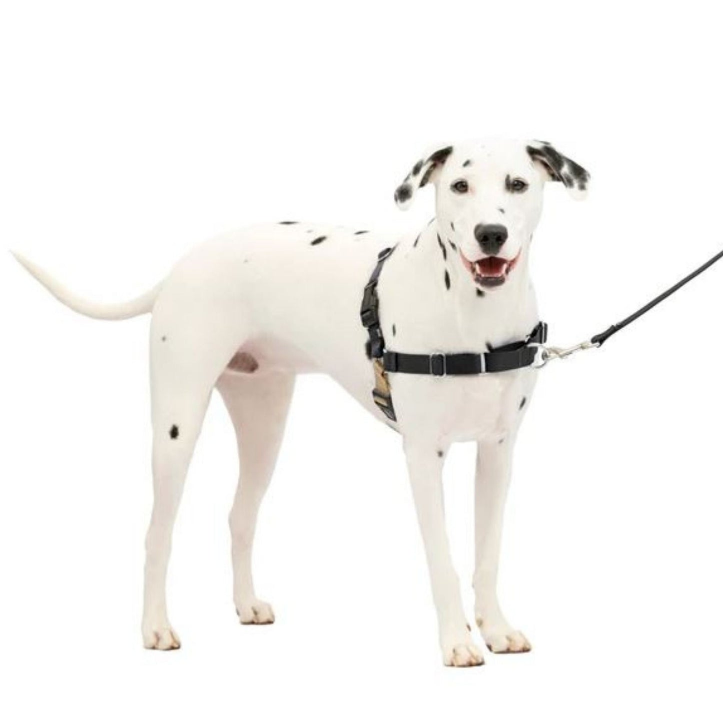 Petsafe Dog Easy Walk Harness Black Medium / Large