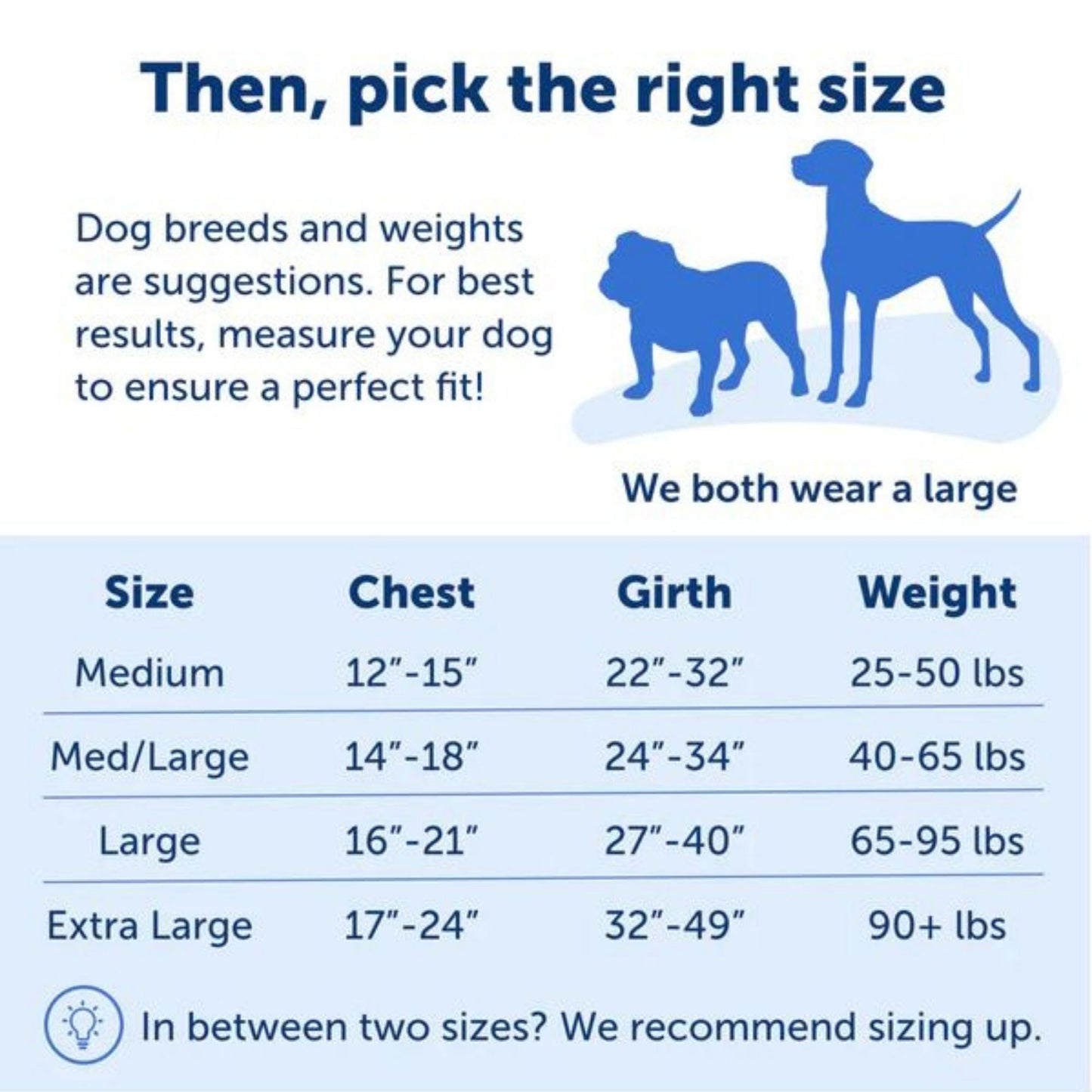 Petsafe Dog Easy Walk Harness Blue Medium / Large
