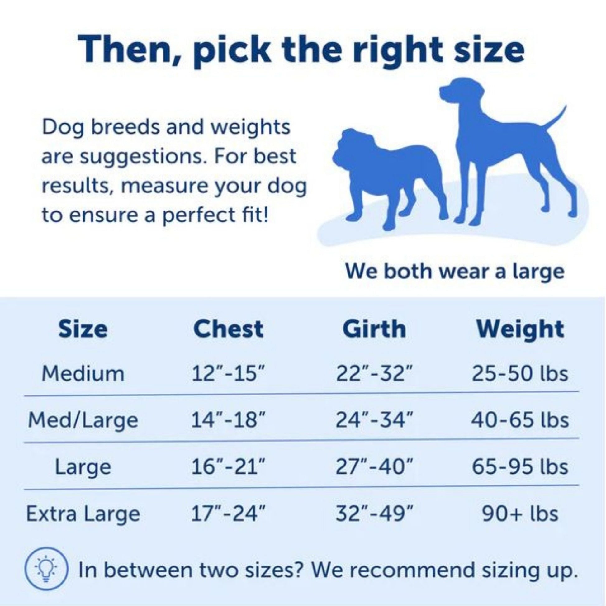 Petsafe Dog Easy Walk Harness Blue Medium / Large