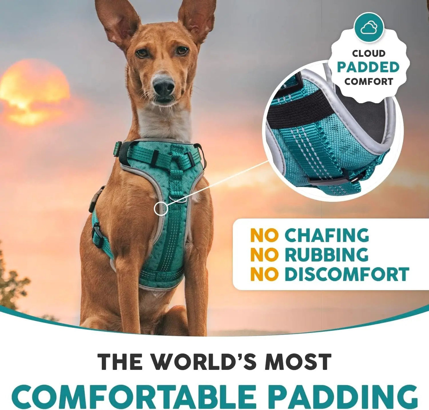 Embark Sports Dog Harness, Dog Harness for Large Dogs No Pull with Light and Breathable Design - Easy on and Off, No Pull Training, Size Adjustable, Non Choke with Handle for Control. Teal Vest