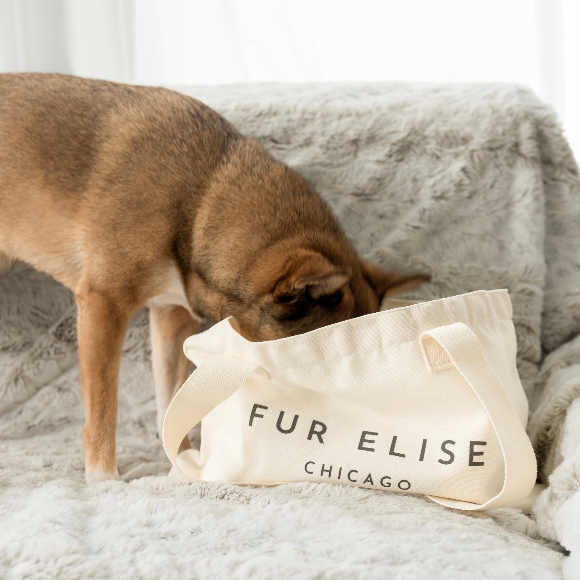 Logo Canvas Tote Bag Elise Galleria