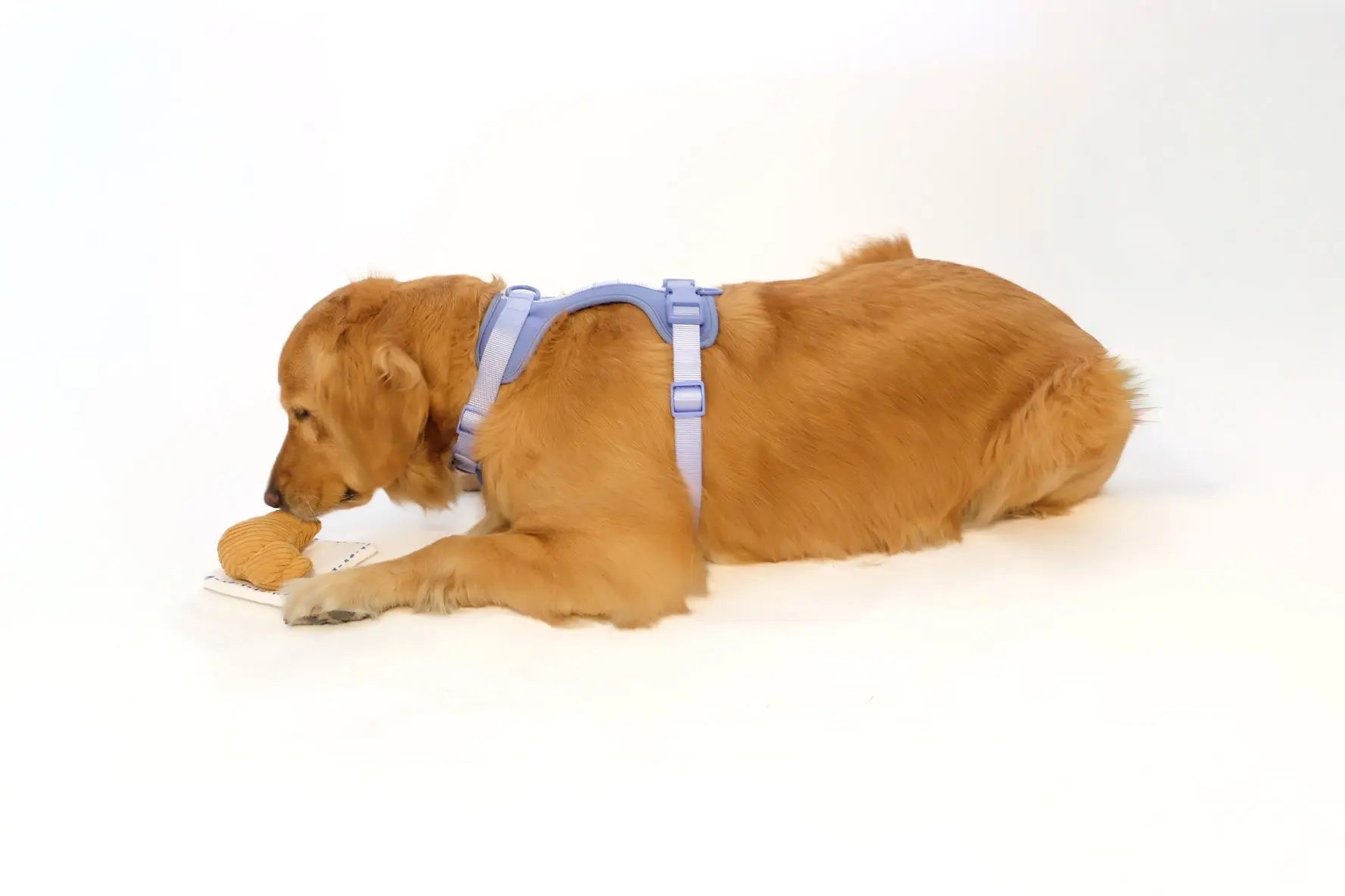 Croissant Nose Work Toy / Enrichment Toy - K9 Outdoors