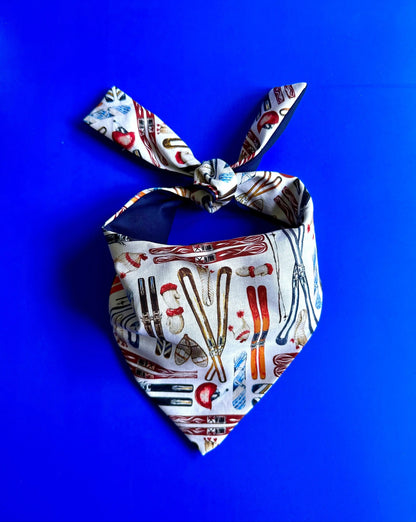 Skiing Dog Bandana Happy Tails Outfitters