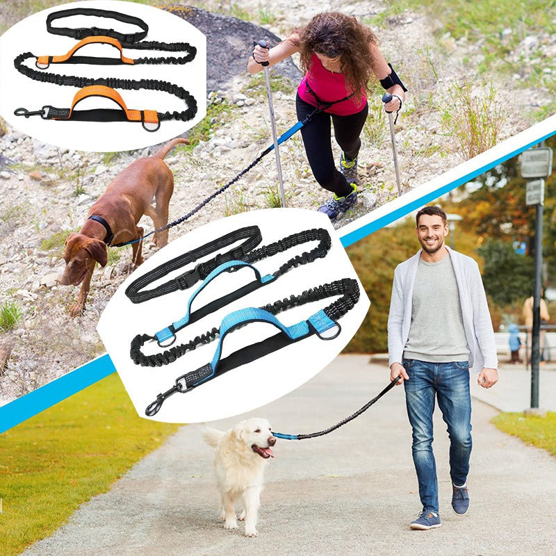 Dual Elastic Reflective Running Traction Rope Portable Retractable Dog Rope Dog Chain Traction Rope Pet Supplies