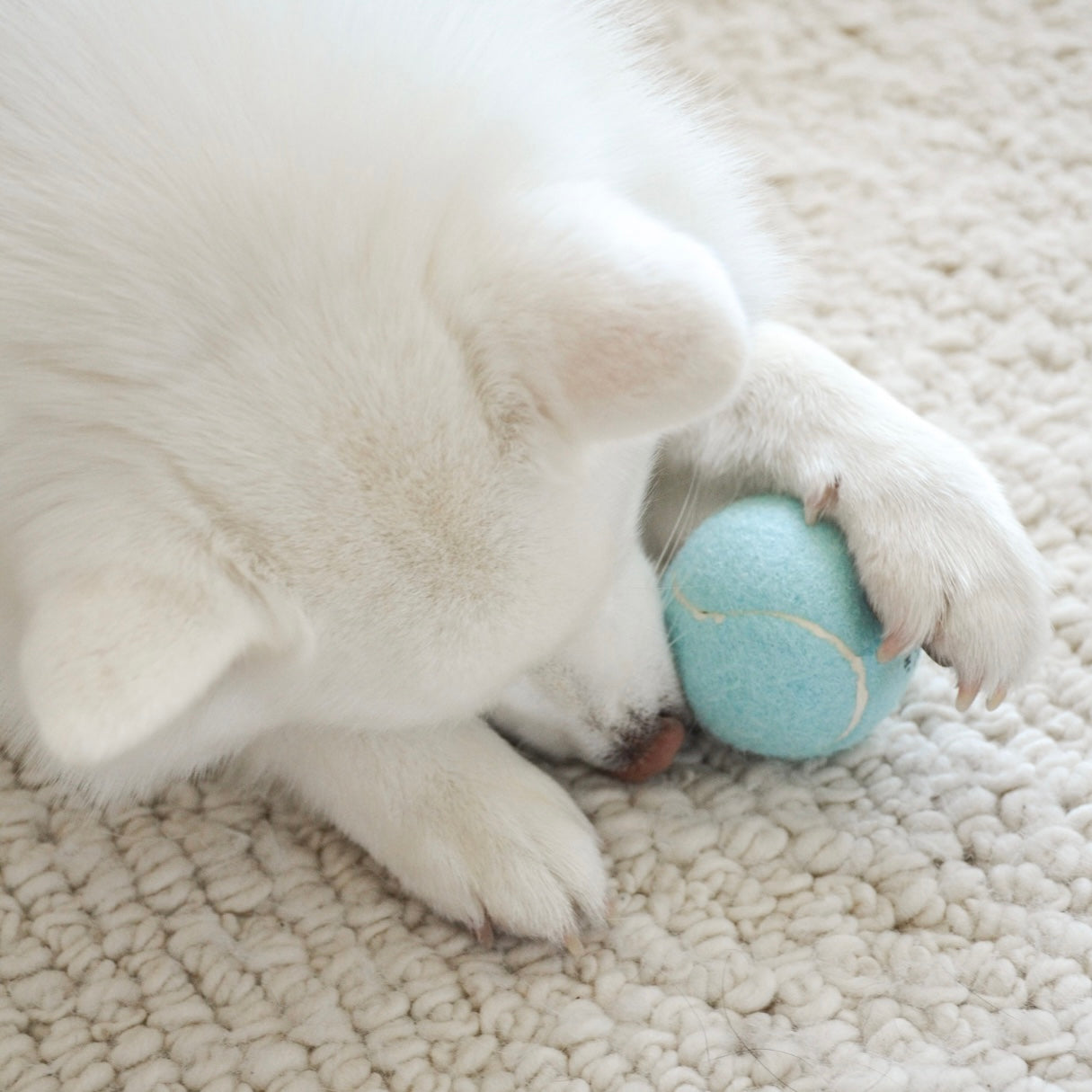 So Fetch! Tennis Ball - Cloud Elise Galleria