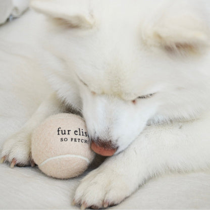 So Fetch! Tennis Ball - Latte Elise Galleria