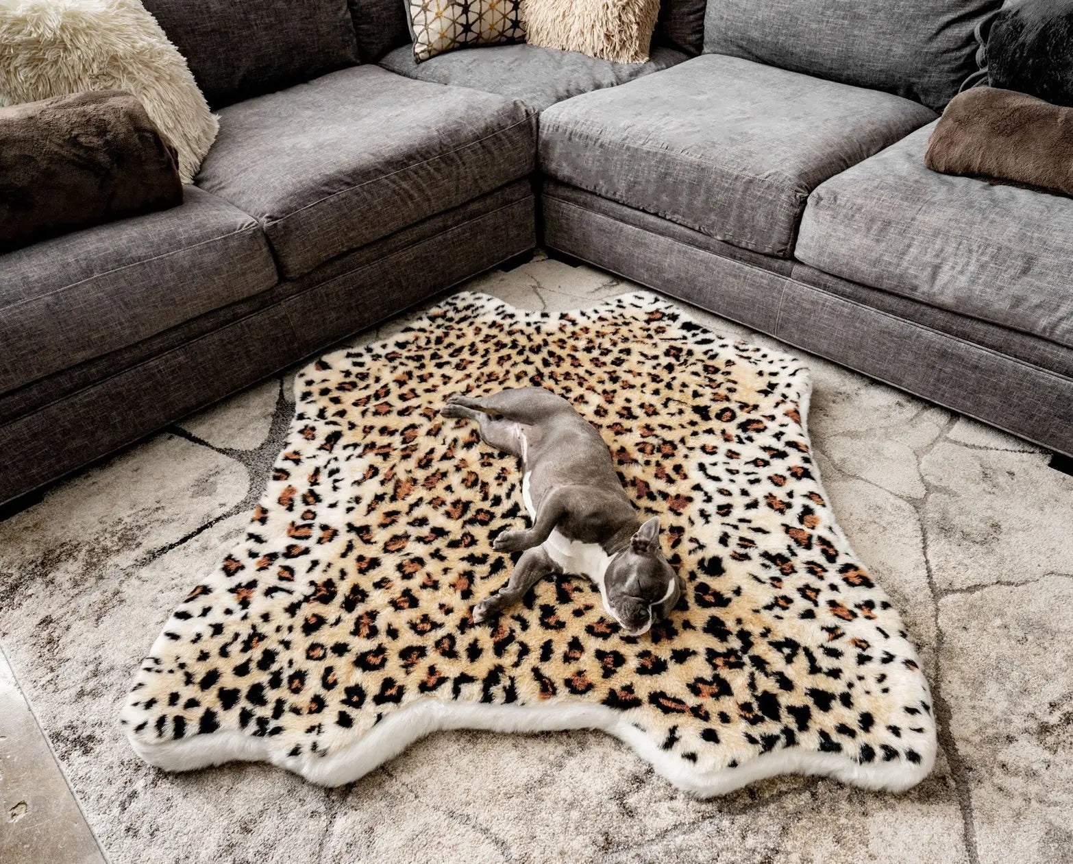 PupRug™ Animal Print Memory Foam Dog Bed - Cheetah Faux Print Paw.com