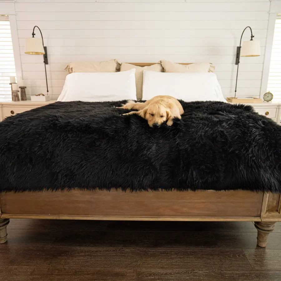 PupProtector™ Waterproof Throw Blanket - Midnight Black Paw.com