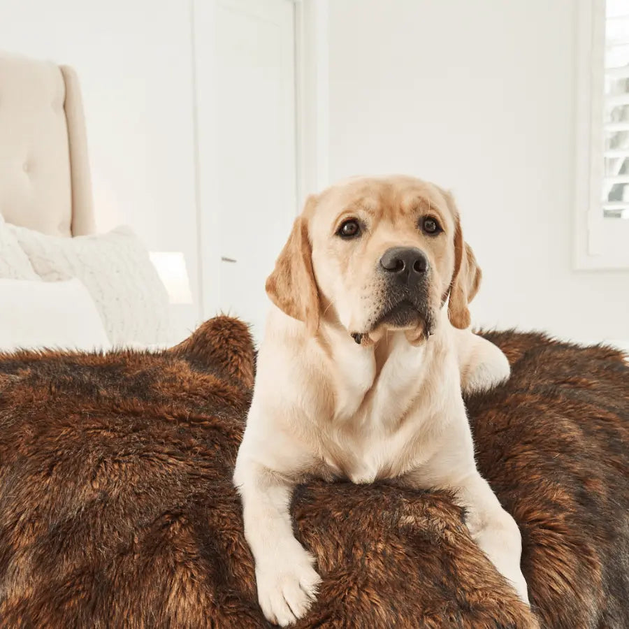 PupProtector™ Waterproof Throw Blanket - Brown Paw.com