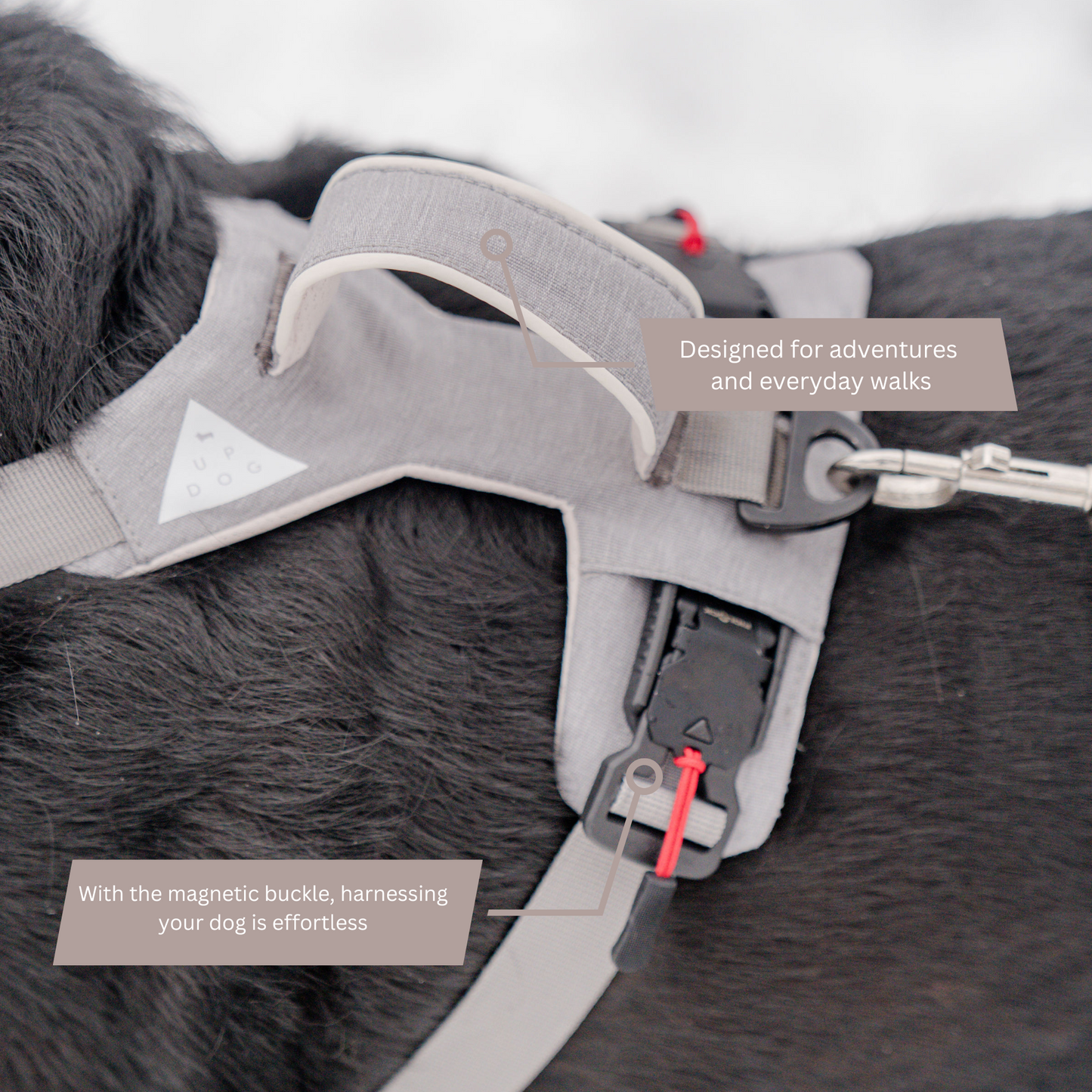 Magnetic Dog Harness Up Dog Shop