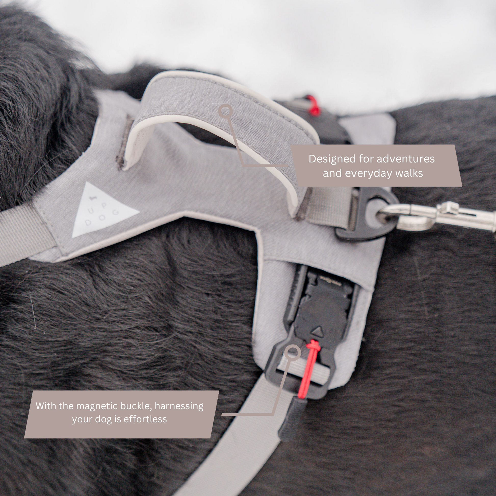 Magnetic Dog Harness Up Dog Shop