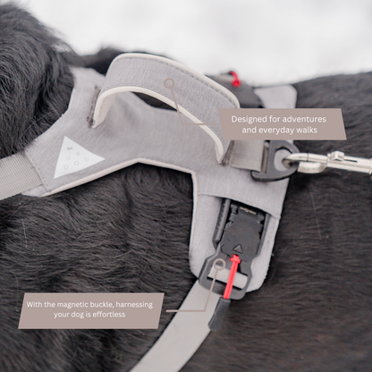 Magnetic Dog Harness Up Dog Shop