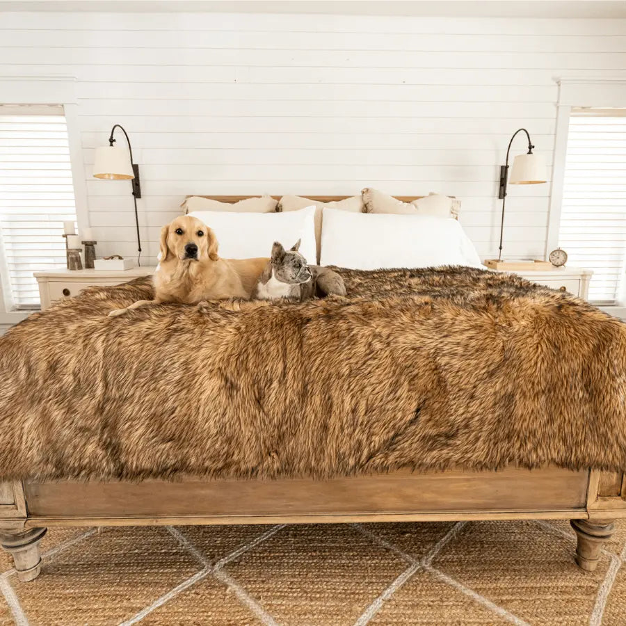 PupProtector™ Waterproof Throw Blanket - Sable Tan Paw.com