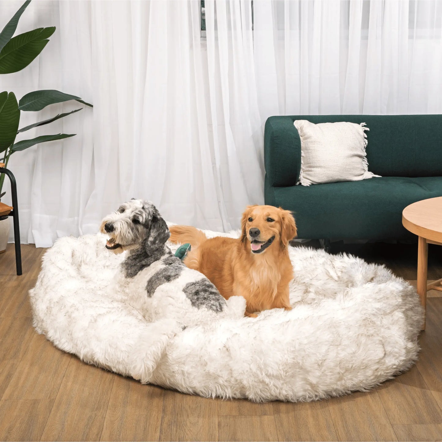 PupCloud™ Human-Size Faux Fur Memory Foam Dog Bed - White with Brown Accents Paw.com