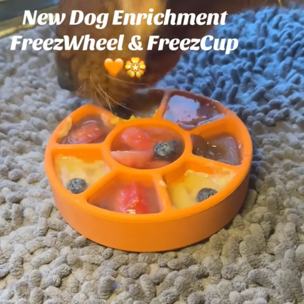 FreezWheel - Durable Interactive Chew Freezbone