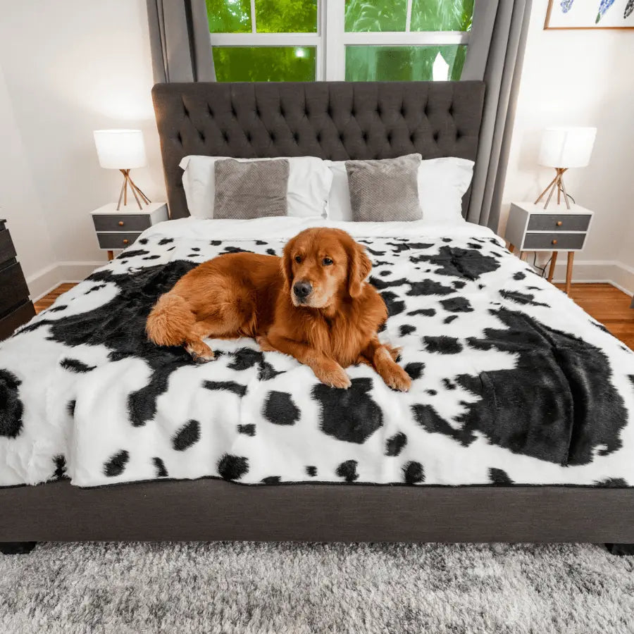 PupProtector™ Waterproof Throw Blanket - Black Faux Cowhide Paw.com