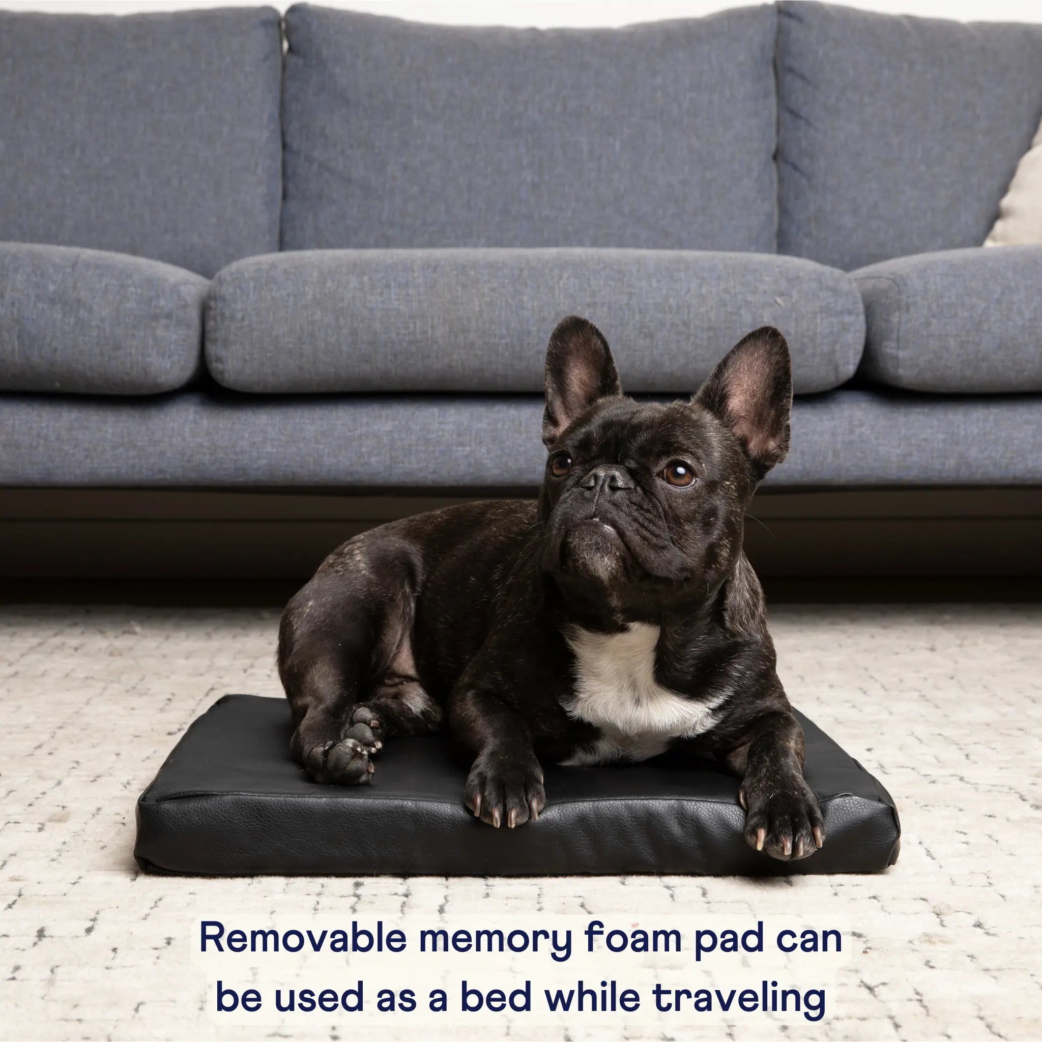 PupProtector™ Faux Leather Memory Foam Dog Car Bed -  Black Paw.com