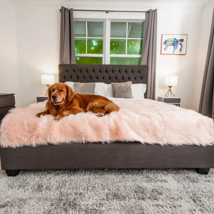 PupProtector™ Waterproof Throw Blanket - Blush Pink Paw.com