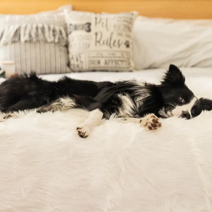 PupProtector™ Waterproof Throw Blanket - Polar White Paw.com