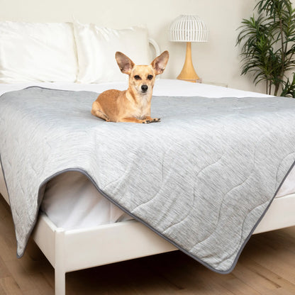 PupChill™ Cooling Waterproof Blanket - Arctic Grey Paw.com