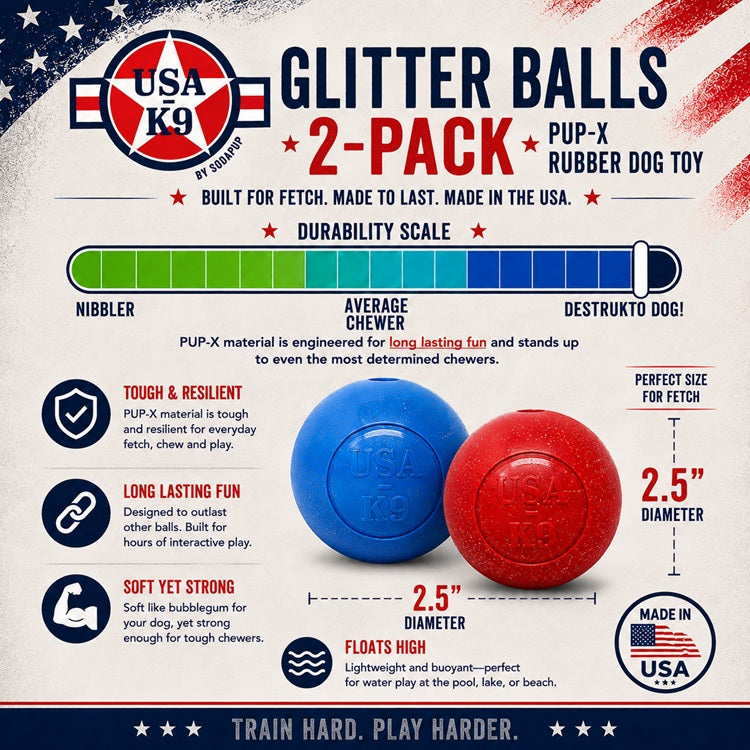 Glitter Ball 2-Pack Dog Toy | Soft Rubber Floating Fetch Ball with Treat Dispenser | USA Made
