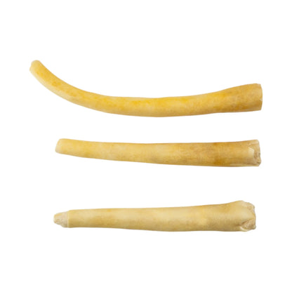 All-Natural Cow Tail Dog Treats – Premium Chews for Healthy Teeth & Gums – 8"-10" Inches (25/Case) American Pet Supplies