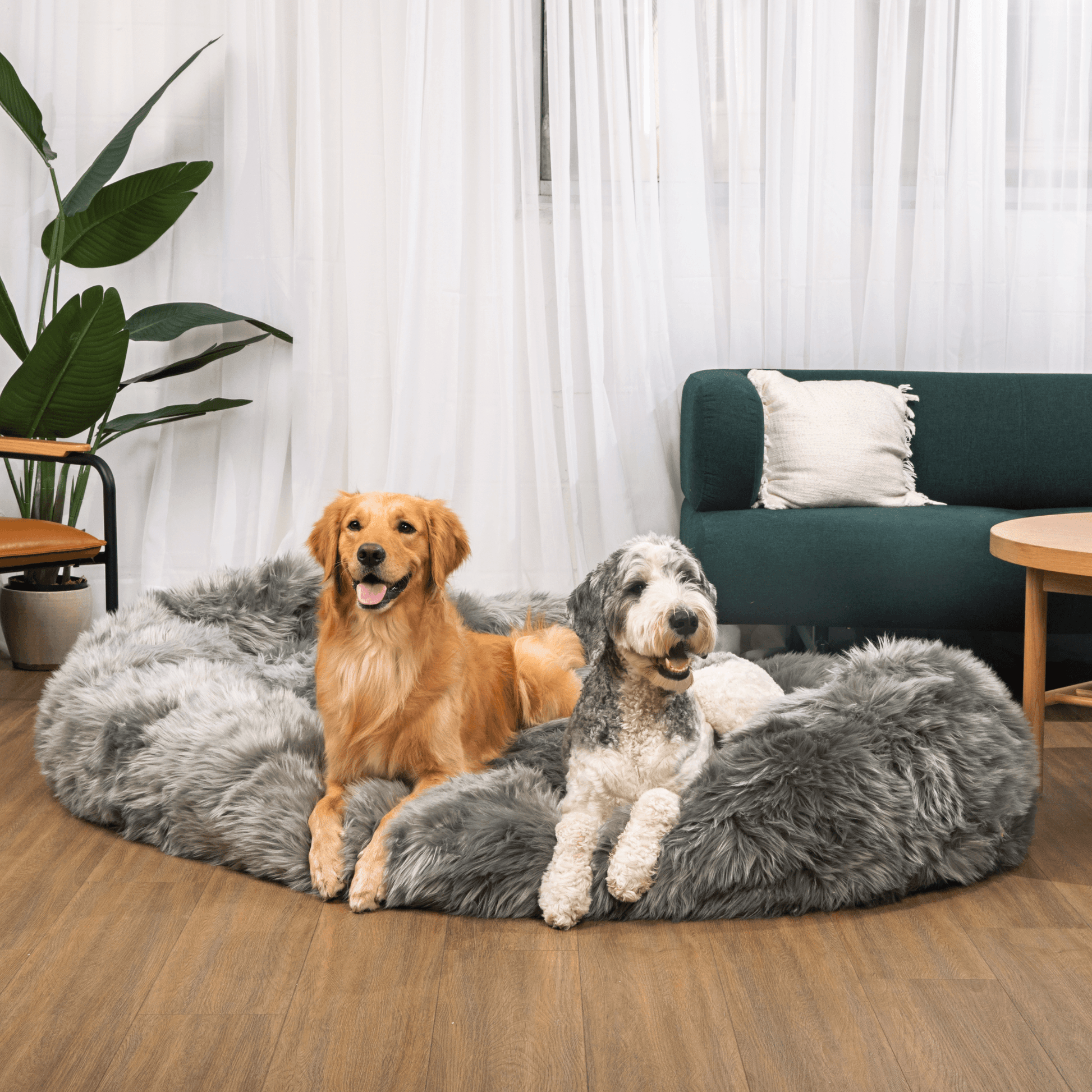 PupCloud™ Human-Size Faux Fur Memory Foam Dog Bed - Charcoal Grey Paw.com