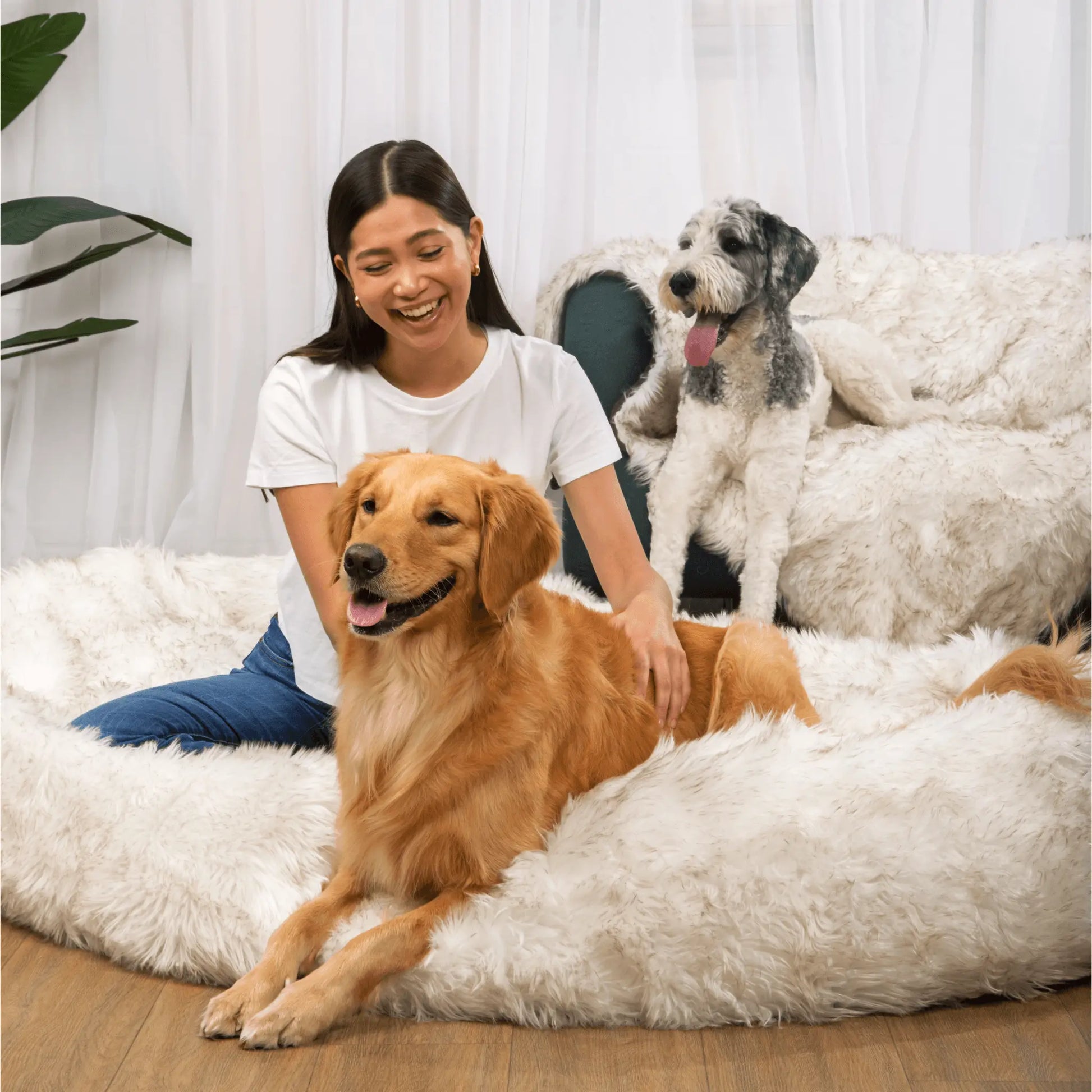 PupCloud™ Human-Size Dog Bed + Matching Waterproof Blanket Bundle - White with Brown Accents Paw.com