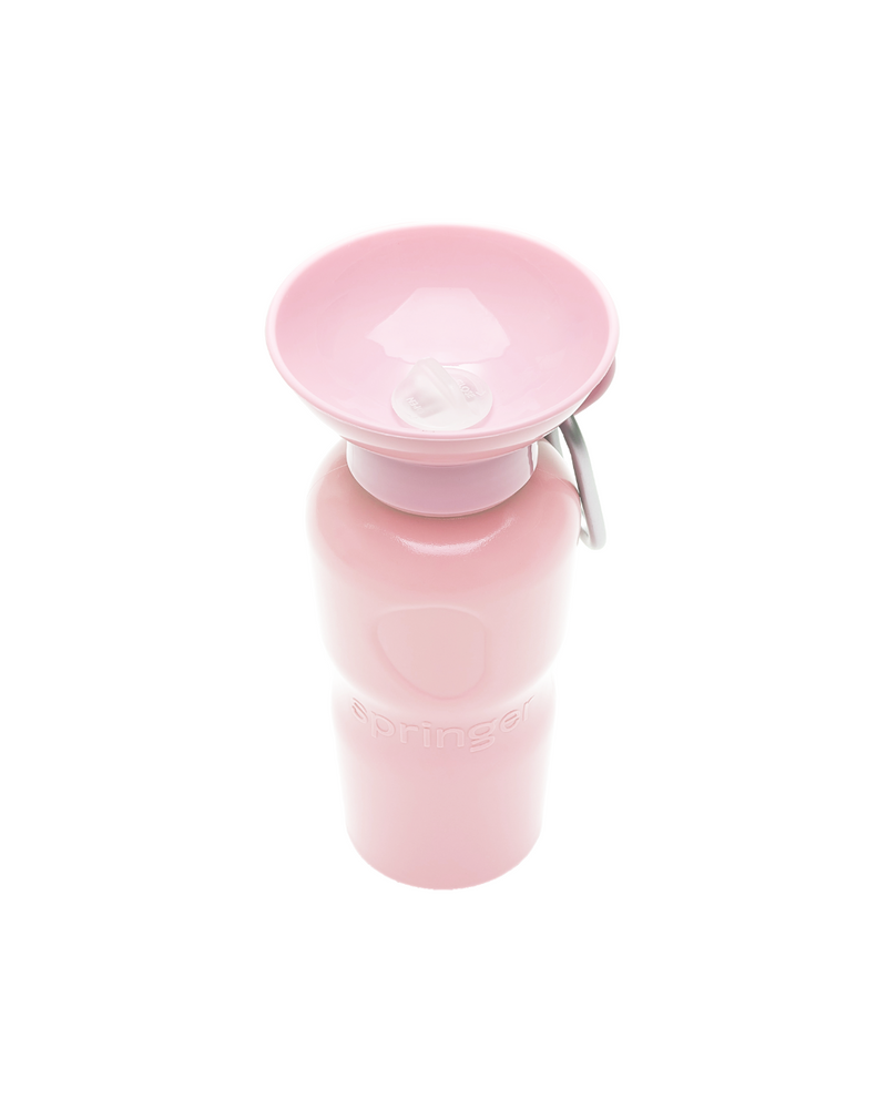 22oz Original Travel Dog Water Bottle