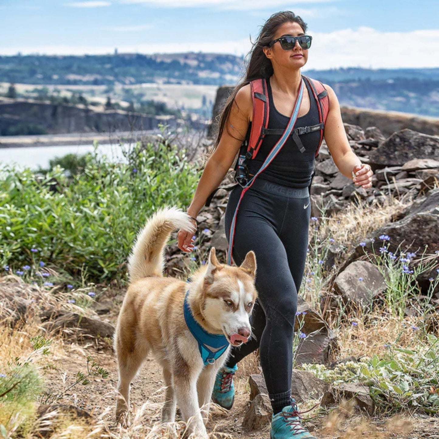 Kurgo Dog Quantum Reflective Leash Red