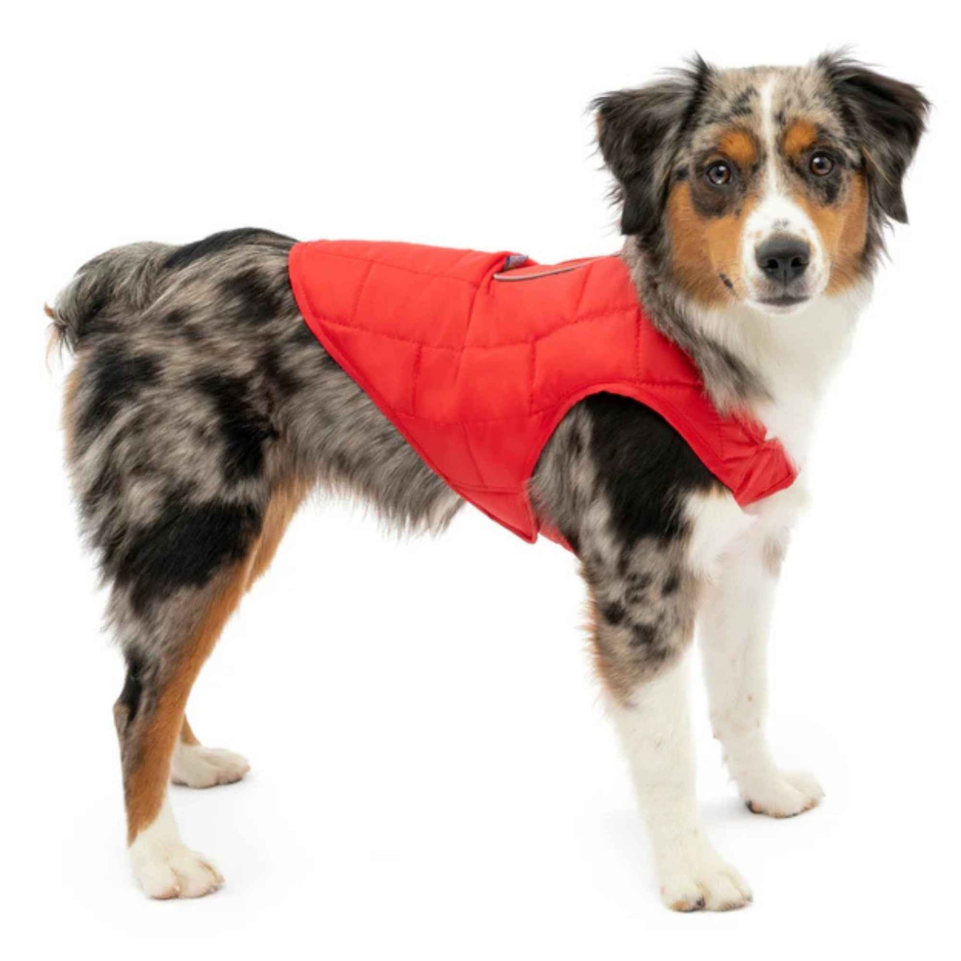 Kurgo Dog Loft Jacket Red Small
